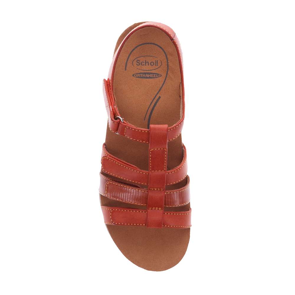 Alessandra Sandal - Burnt Orange/Brown